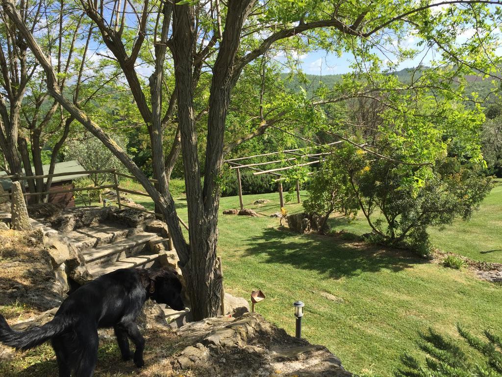 Agriturismo Podere S. Croce Saturnia Ngoại thất bức ảnh